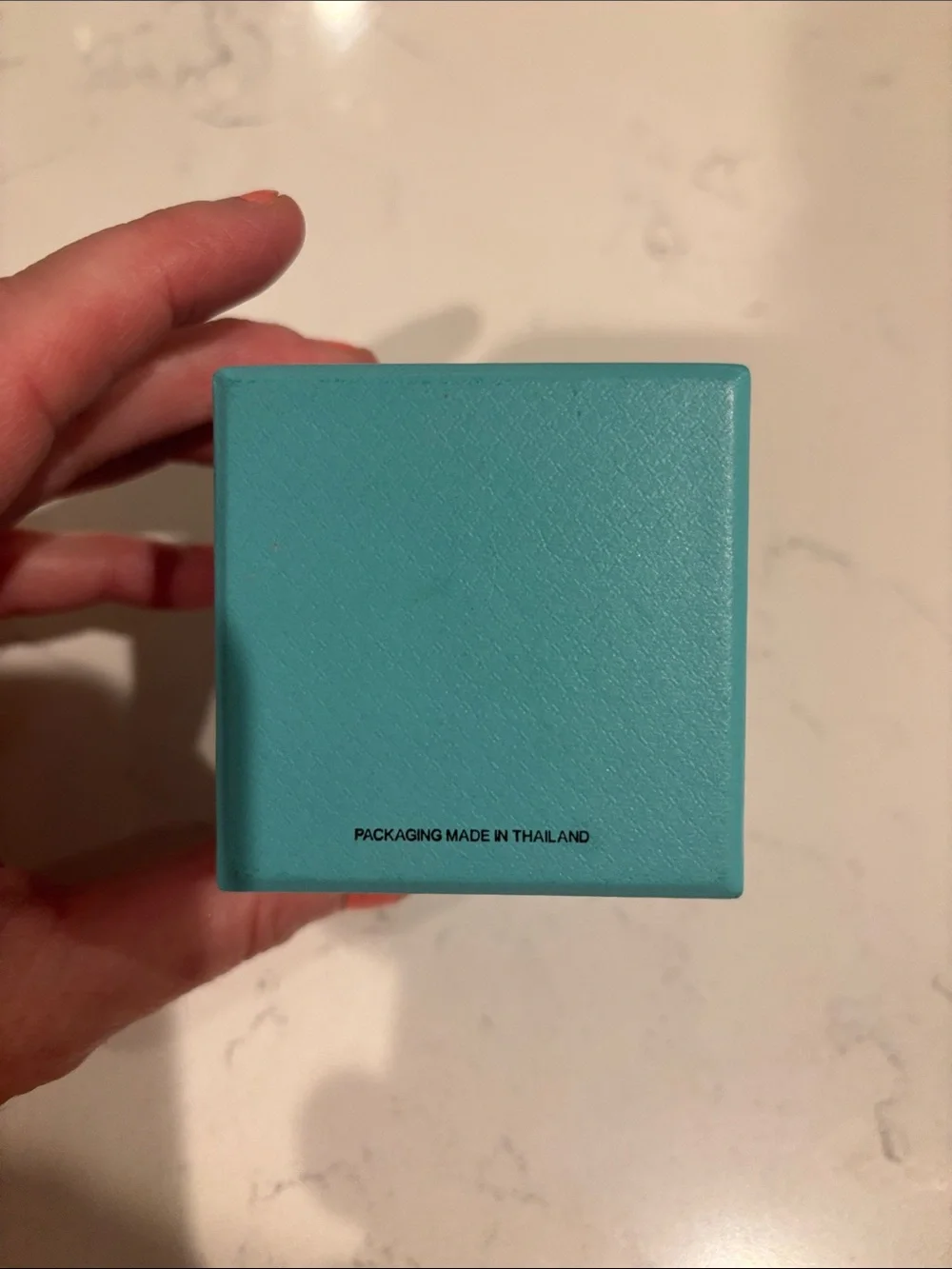 Tiffany & Co. Robin's Egg Blue Gift Box with Logo